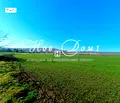 Снимка 2 — Парцел във Варна, с. Осеново