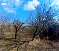 Снимка 3 — Парцел във Варна, с. Осеново