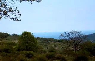 Парцел във Варна, с. Осеново