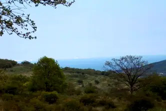 Парцел във Варна, с. Осеново