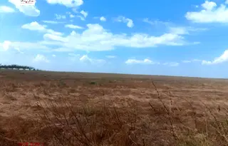 Парцел във Варна, с. Приселци