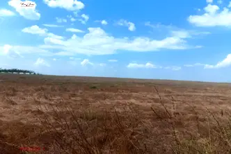 Парцел във Варна, с. Приселци