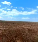 Парцел във Варна, с. Приселци