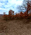 Парцел във Варна, с. Приселци