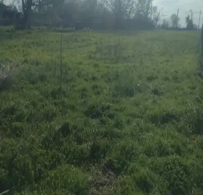 Photo 2 — Plot in Oblast Varna, Ravna