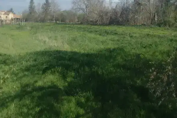 Plot in Oblast Varna, Ravna