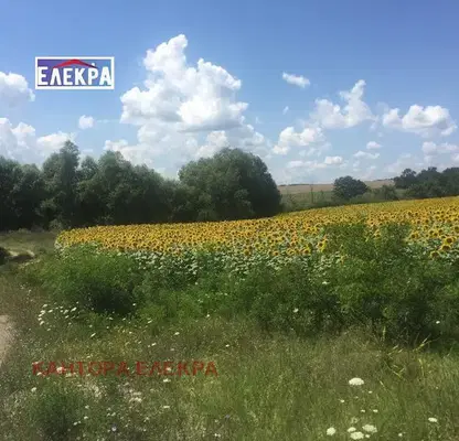 Снимка 3 — Парцел във Варна, с. Рудник