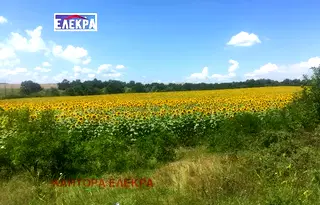 Парцел във Варна, с. Рудник