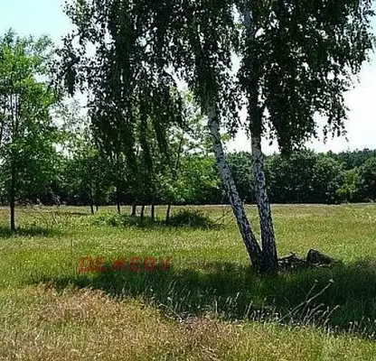 Снимка 2 — Парцел във Варна, с. Рудник