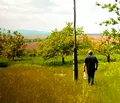 Снимка 2 — Парцел във Варна, с. Садово