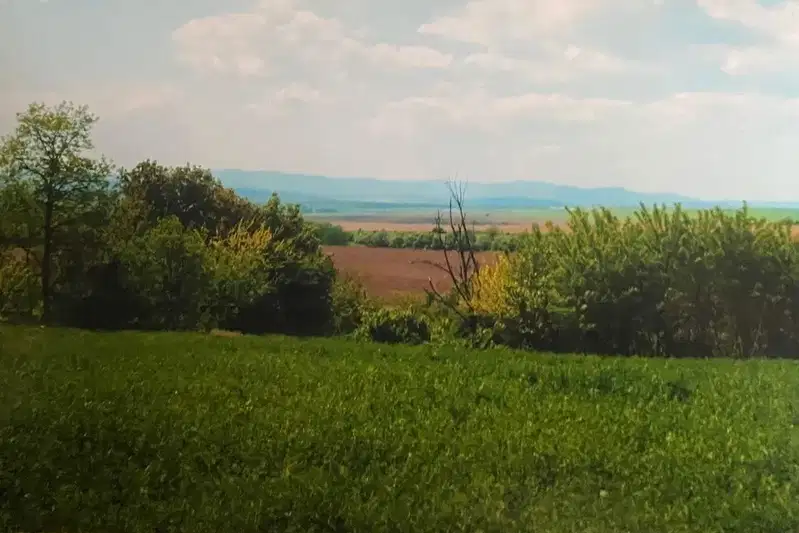 Парцел във Варна, с. Садово