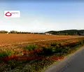 Снимка 3 — Парцел във Варна, с. Шкорпиловци