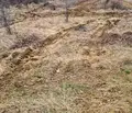 Снимка 3 — Парцел във Варна, с. Шкорпиловци