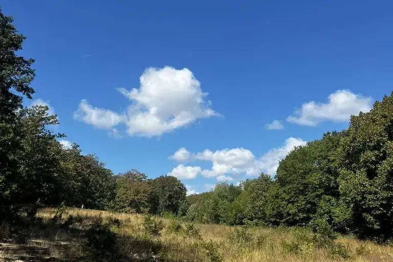 Plot in Oblast Varna, Shkorpilovci