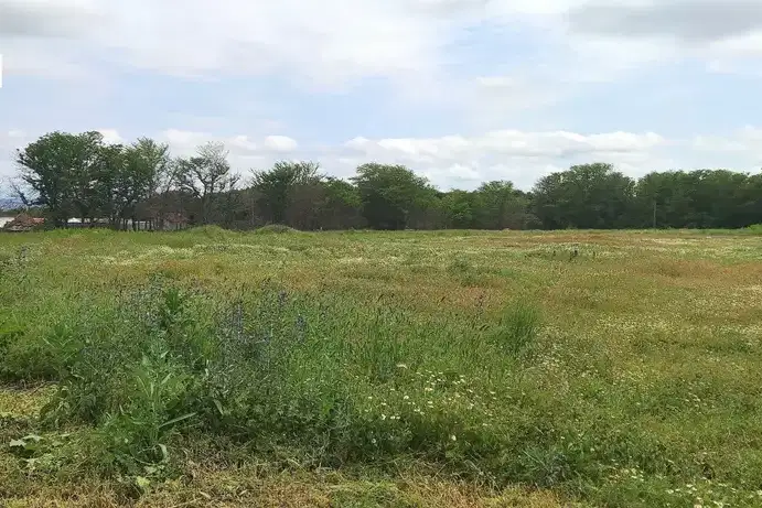 Plot in Varna, Slynchevo
