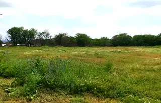 Парцел във Варна, с. Слънчево