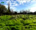 Снимка 5 — Парцел във Варна, с. Ветрино