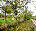 Снимка 3 — Парцел във Варна, с. Ягнило
