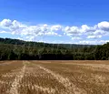 Снимка 2 — Парцел във Варна, с. Юнец