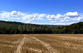 Парцел във Варна, с. Юнец