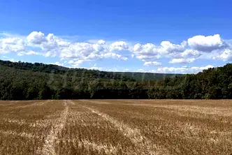 Парцел във Варна, с. Юнец