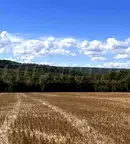 Парцел във Варна, с. Юнец
