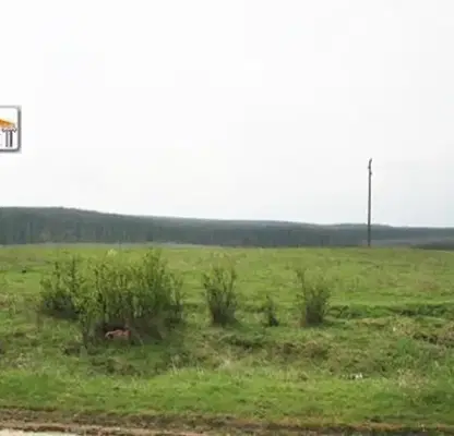 Photo 2 — Plot in Oblast Varna, Yunec