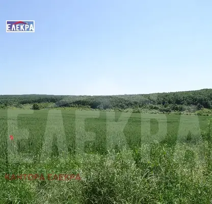 Photo 2 — Plot in Oblast Varna, Yunec