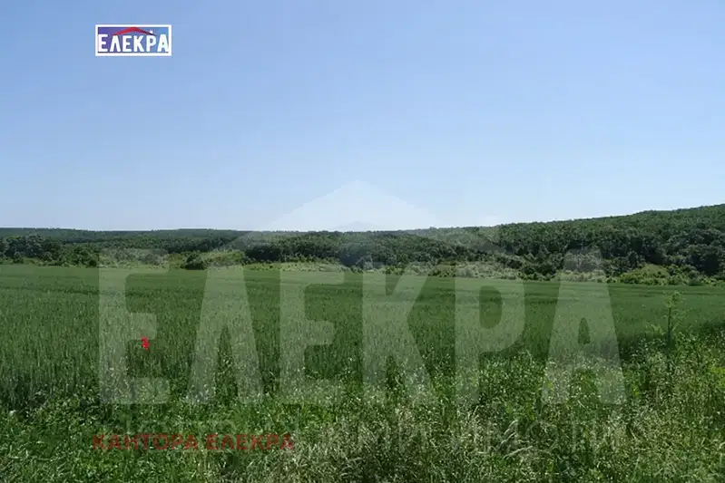 Plot in Oblast Varna, Yunec