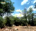Снимка 3 — Парцел във Варна, с. Засмяно