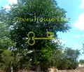 Снимка 5 — Парцел във Варна, с. Засмяно