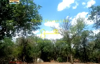Парцел във Варна, с. Засмяно