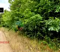 Снимка 2 — Парцел във Варна, с. Здравец