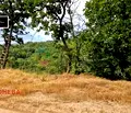 Снимка 3 — Парцел във Варна, с. Здравец