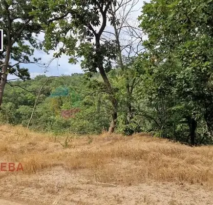 Photo 3 — Plot in Varna, Zdravec