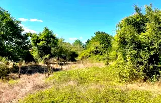 Парцел във Варна, с. Зорница