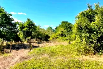 Парцел във Варна, с. Зорница