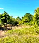 Парцел във Варна, с. Зорница