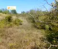 Снимка 4 — Парцел във Велико Търново, Дебелец