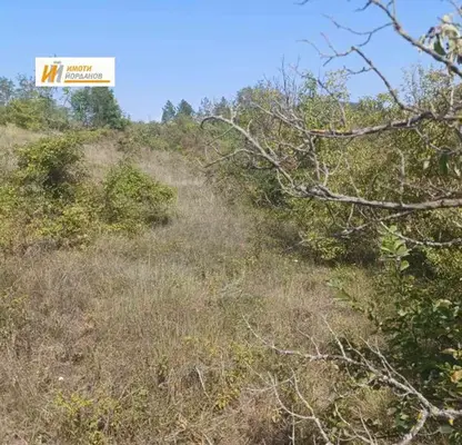 Photo 4 — Plot in Oblast Veliko Tyrnovo, Debelec