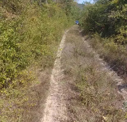 Photo 5 — Plot in Oblast Veliko Tyrnovo, Debelec