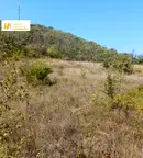 Парцел във Велико Търново, Дебелец