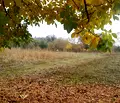 Снимка 2 — Парцел във Велико Търново, Дебелец