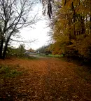 Парцел във Велико Търново, Дебелец
