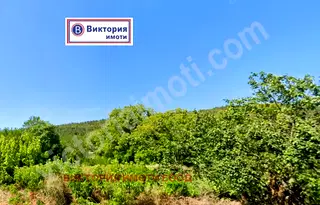 Парцел във Велико Търново, Дебелец