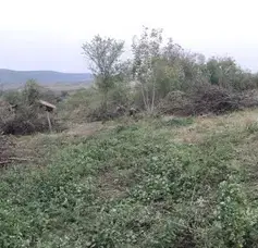 Photo 5 — Plot in Oblast Veliko Tyrnovo, Debelec