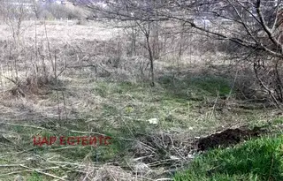 Парцел във Велико Търново, Дебелец