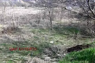 Парцел във Велико Търново, Дебелец