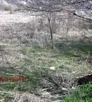 Парцел във Велико Търново, Дебелец