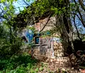 Снимка 3 — Парцел във Велико Търново, Елена